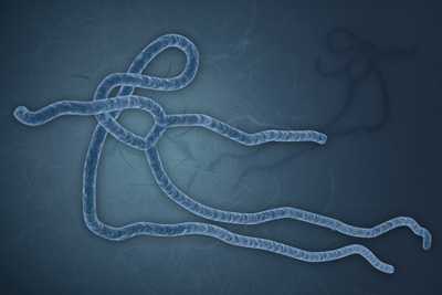 Artist rendering of Ebola virus as long strands on a blue background