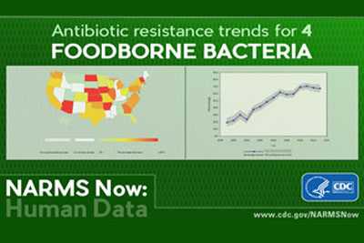 Image showing data and the words Antibiotic resistance trends for 4 Foodborne Bacteria