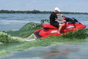 image of a red jet ski sending up waves of green water