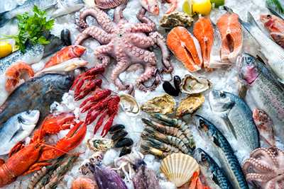 image of various seafood on ice