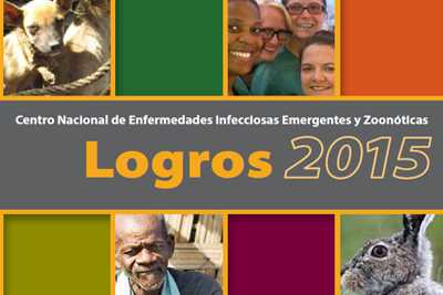 cropped image of pdf: Logros 2015