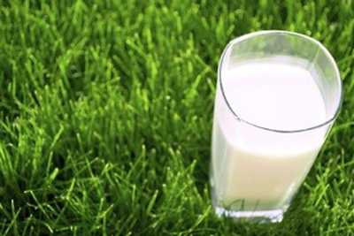 A glass of milk sitting in grass