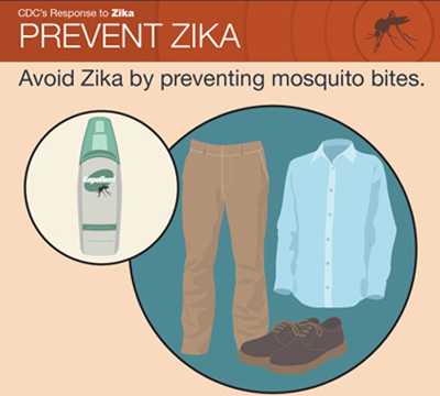 Thumbnail  of zika factsheet showing long clothing and bug spray