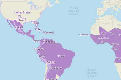 cropped image of a world map with some countries in purple