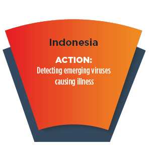 Section of a wheel with words - Indonesia ACTION: Detecting emerging viruses causing illness