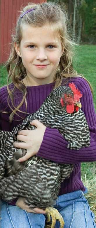 Young girl with long hair in a purple sweater holding a black and white spotted chicken.
