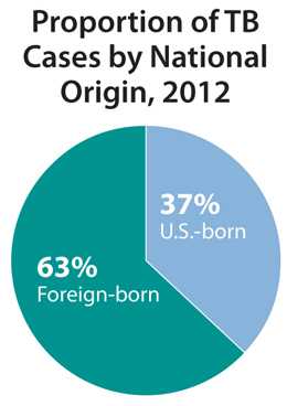 This pie chart shows the proportion of reported TB cases in the United States broken down by national origin in 2012. The proportion of TB cases among foreign-born persons was 63% and 37% among U.S.-born persons.