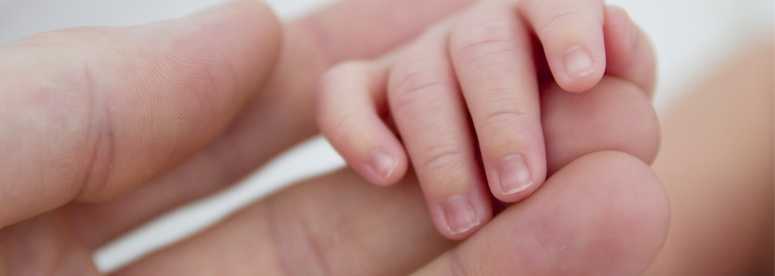 Close-up of newborn's hand held by an adult hand