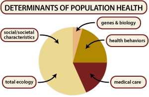 Pie Chart: Estimates of how each of the five major determinants influence population health