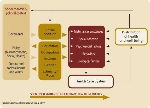 World Health Organization's Social Determinants of Health Framework. Details at http://whqlibdoc.who.int/publications/2008/9789241563703_eng.pdf