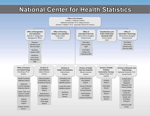 NCHS Organizational Chart image