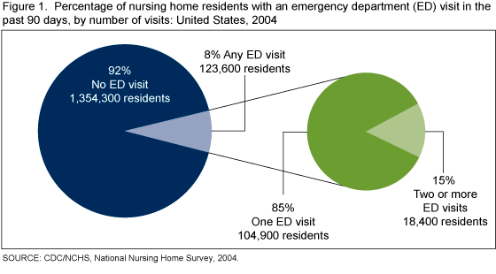 Figure 1 is a pie chart showing the percentage of nursing home residents with an emergency department visit in the past 90 days in 2004.