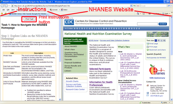 screenshot of navigate-type showing split screen layout with Instructions and NHANES Website highlighted