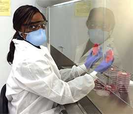 Photo: Marsenia Harrison, in DBD’s Pertussis and Diphtheria Laboratory, examines agar plates inoculated with oropharyngeal swabs for bacterial growth from the Rhode Island outbreak, February 2015.