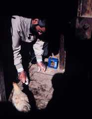 NIOSH physician Mitchell Singal collects a dust sample in a worker’s home during a study to help the Pan American Health Organization assess community and worker exposures to heavy metals related to a tin smelter in Oruro, Bolivia.