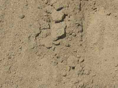 Track surface