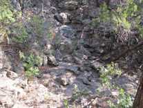 photograph of the trail where the FF was found unconscious
