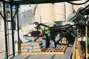 Worker performing manual materials handling while palletizing 100 pound bags of sand.