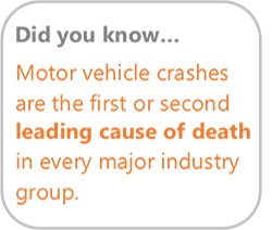 	Motor Vehicle statistic