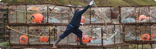 	A commercial crab fisherman reaches for a swinging line while working on a stack of crab pots in Dutch Harbor, AK.