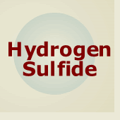 	Hydrogen Sulfide