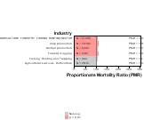 Ischemic Heart Disease