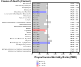 Grocery and Convenience Stores for Cancer 1999, 2003-2004 and 2007-2010