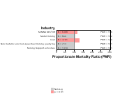 Other Ischemic Heart Disease