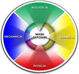 	circular diagram showing mixed exposures: biological, mechanical, physical, chemical