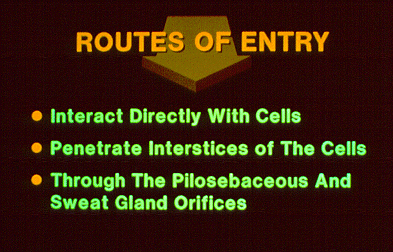 	 Slide 15 - Routes of entry