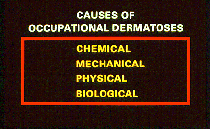 	SLIDE 27 - Causes of occupational dermatoses