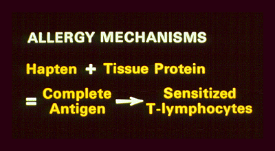 	SLIDE 42 - Allergy mechanisms