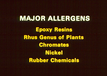 	SLIDE 43 - Major chemical allergens