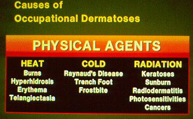 	SLIDE 64 - Physical Agents