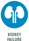 icon-kidneys-kidney failure