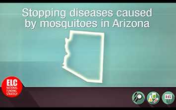 Video: Stopping diseases caused by mosquitoes in Arizona