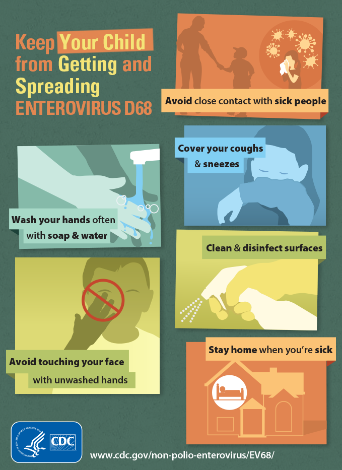 see text equivalent for Enterovirus D68 Infographic: Keep Your Child from Getting and Spreading Enterovirus D68