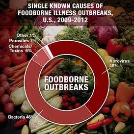 Norovirus accounted for 48% of single known causes of foodborne illness outbreaks in the U.S. from 2009 through 2012. Bacteria accounted for 46%, chemical and toxins 6% and parasites and other accounted for 1% each.