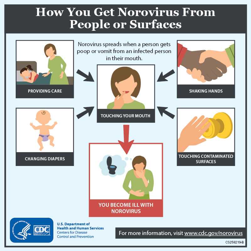 Norovirus Multimedia CDC