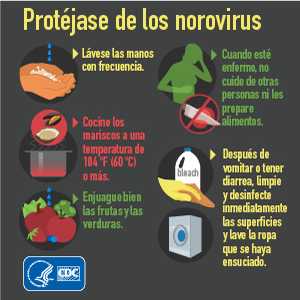 Formas de prevenir brotes de norovirus por los alimentos