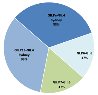 Pie chart indicates genotype distribution of norovirus outbreaks (number = 892) from September 1, 2014 to August 31, 2015: 71% were GII.4 Sydney; 11% were GII.6; 5% were GI.2; 4% were GI.3; 2% were GII.17; and 7% were other genotypes.