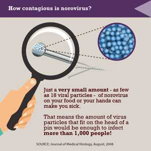 How contagious is norovirus?
