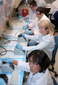 Chemists prepare serum material for quality assurance.