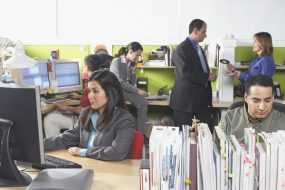 Photo: Employees in an office