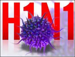 Graphic of H1N1 magnified, and text 