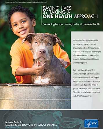 Front cover of fact sheet for One Health