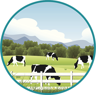 Vector image of cows grazing.
