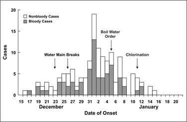 A histogram shows the increase and decrease of diarrheal illness over time.