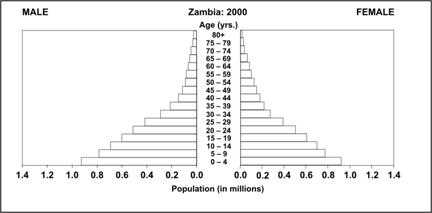 A population pyramid shows the percent of population on horizontal bars stacked by age and sex.