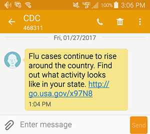 Sample of the Flu Text Message